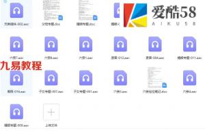 高德臣盲派命理面授录音+4个笔记 百度网盘下载！