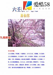 六壬读书笔记易仙客整理-大六壬笔记内部电子资料.pdf 全书56页 百度云网盘资源下载！