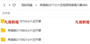 肖渤森2017小六壬视频网络课23集48G容量