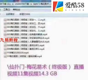 仙扑门-梅花易术（终极版） 梅花易数直播视频11集视频14.3 GB