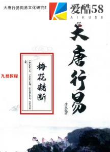 唐友权-大唐行易《梅花精断》319页 ，高清电子版。