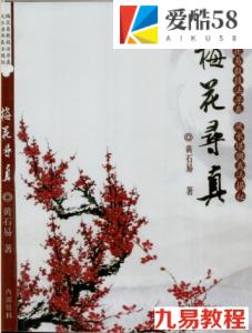 梅花寻真-黄石易.pdf