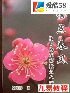 独解梅花易数之八法 《指点春风》栾海涛.pdf