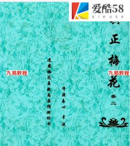 真正梅花，阴阳梅花四册电子书，净度易心李液著，共450多页。