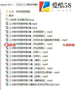 文元少三才数字神断预测学视频16集，10个小时，普通话清晰。