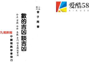 曾子南-数的吉凶谈吉凶.pdf319页，百度云下载！