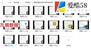 杨国正最新生肖姓名学网络班视频13集16个+2套讲义pdf 百度云下载！