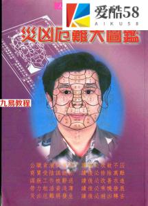 人骨工程学系列：林吉成-灾凶厄难大图鉴.pdf 电子版图解 百度云网盘资源下载！