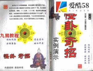 冲天居士李纯文-怪卦奇招实例演示.pdf 内部资料详集 百度云网盘资源下载！