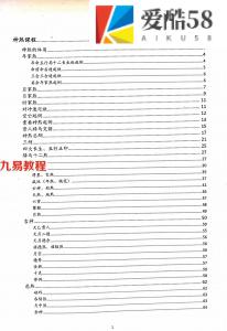 凌雪衣（青衿名士）神煞指要.pdf 南传子平弟子班绝密内部资料 百度云网盘资源下载！