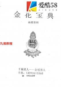 金花宝典 于成道人.pdf 百度网盘资源下载！