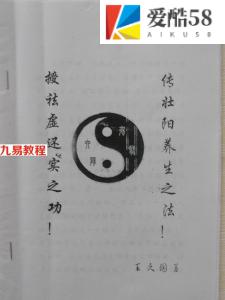 王久国-六阳强肾诀.pdf 电子版资源 百度云网盘下载！