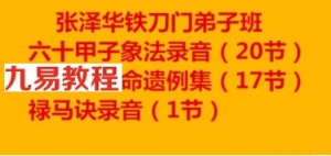 张泽华铁刀门弟子班六十甲子象法录音20节+禄马诀录音