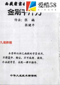 西藏密宗秘传硬气功-金刚千斤力（张楠 张健平）.pdf 电子版资源 百度云网盘下载！