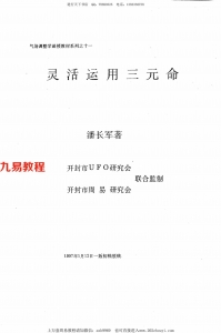 潘长军-灵活运用三元命.pdf 全文电子版 百度网盘资源下载！