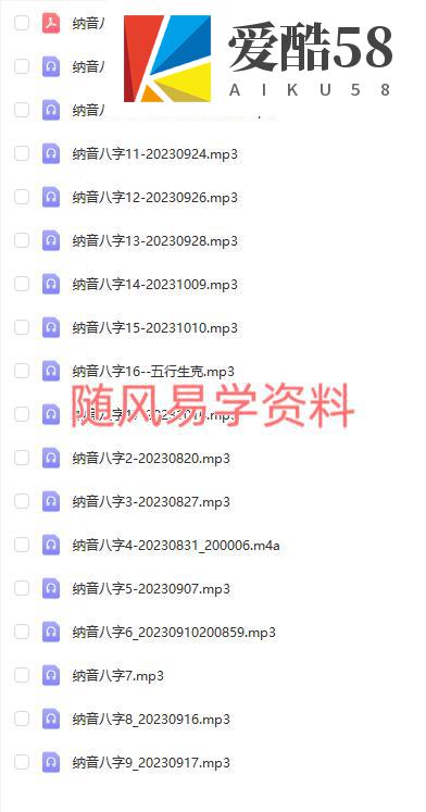 李林升纳音八字 录音17集+文档