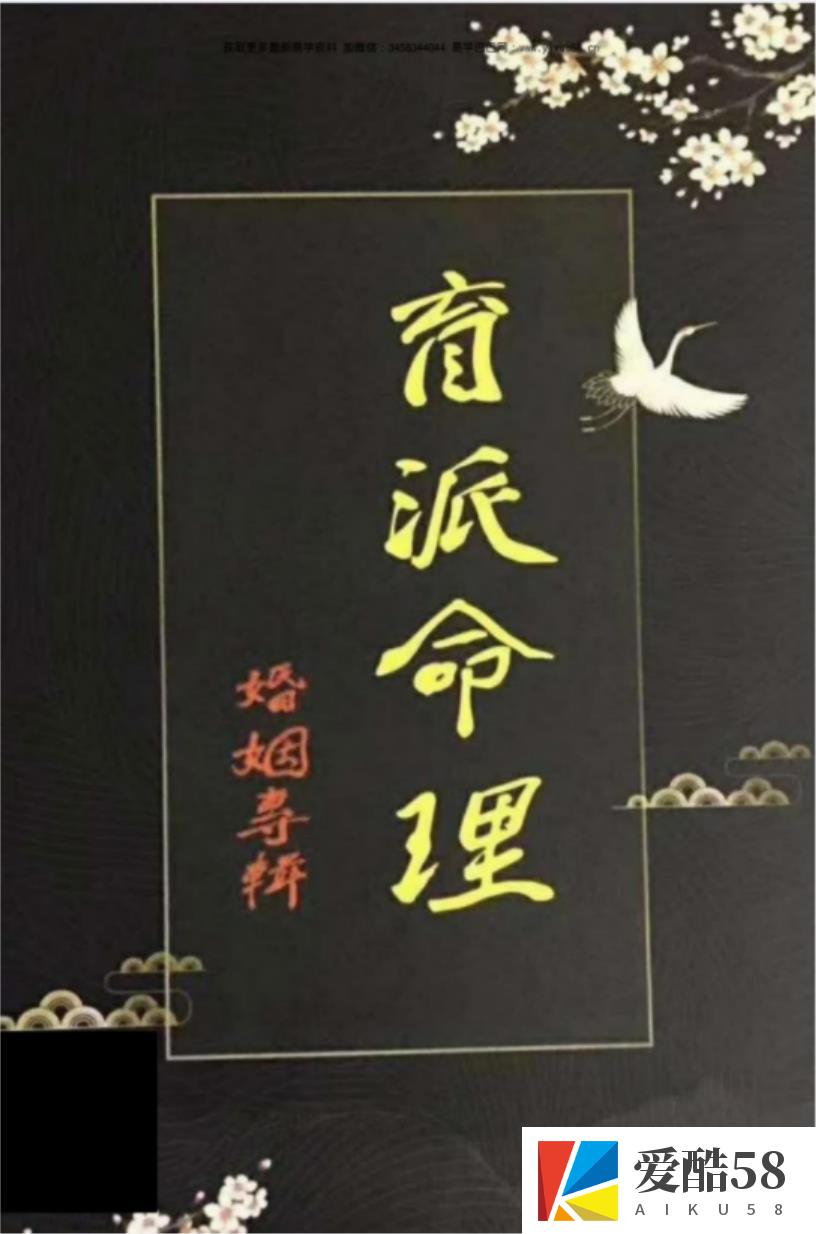 盲派命理婚姻专辑 婚姻铁口断pdf 228页