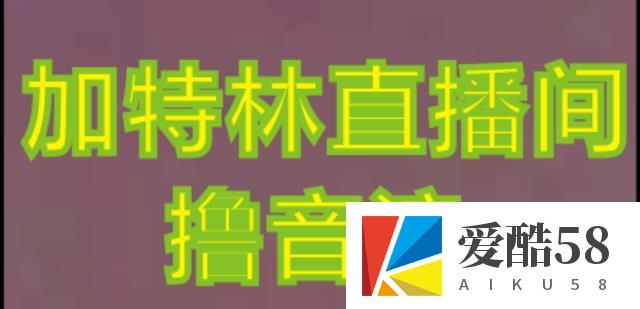 抖音加特林直播间搭建技术，抖音0粉开播，暴力撸音浪，2023新口子，每天800+【素材+详细教程】