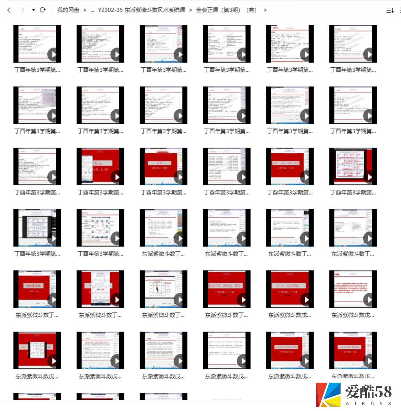 王星东 东派紫薇斗数风水系统课视频接近80个小时+数套教程！