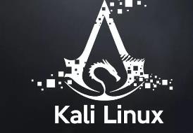 kali linux网络渗透测试实践指南｜2版（配套教程）