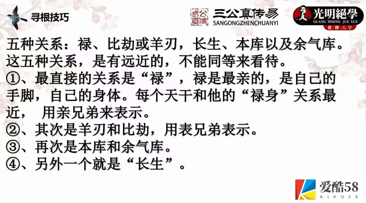 夏光明弟子 德灵老师 干支寻根解密视频+文档