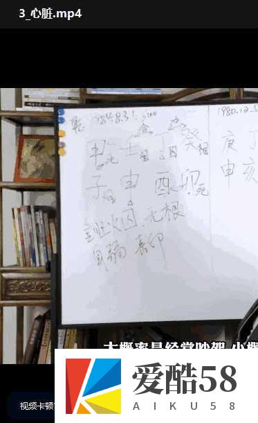 知天命大师兄语良八字班+八字与健康 22+3集视频插图